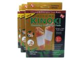 Kinoki detoxikační náplasti - zázvor + sůl 10 ks v balení