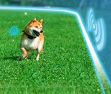 Elektronický neviditelný plot pro psy