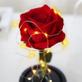 Věčná růže s LED osvětlením